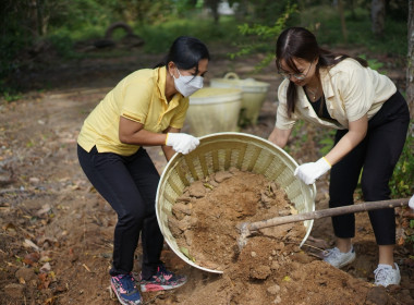 “Soil, Where food begins : อาหาร ก่อกำเนิดจากดิน” พารามิเตอร์รูปภาพ 4